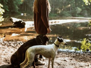 two dogs with woman near lake