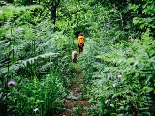 woman walking her dog in lush forest