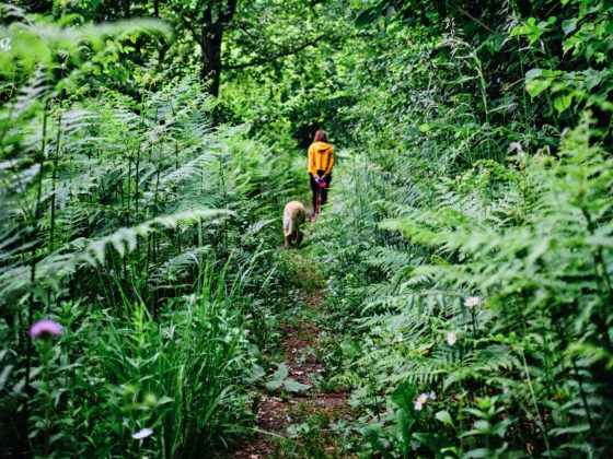 woman walking her dog in lush forest