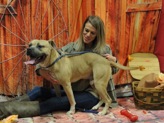 girl with dog and wagon wheel