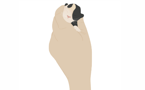 Illustrated hand holding tiny kitten