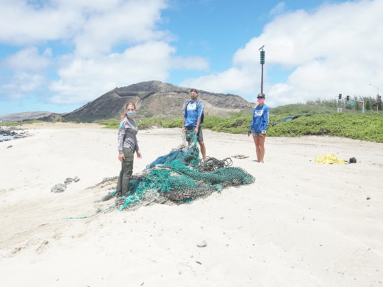 hawaii marine animal response with fishing net on beach