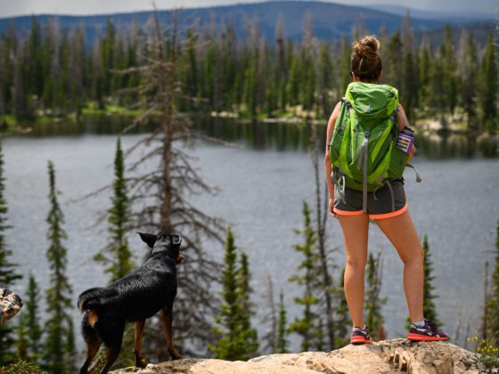 woman hiking with dog looking at lake
