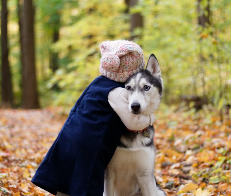 child hugging huskey