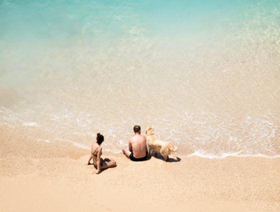 people and dog on beach