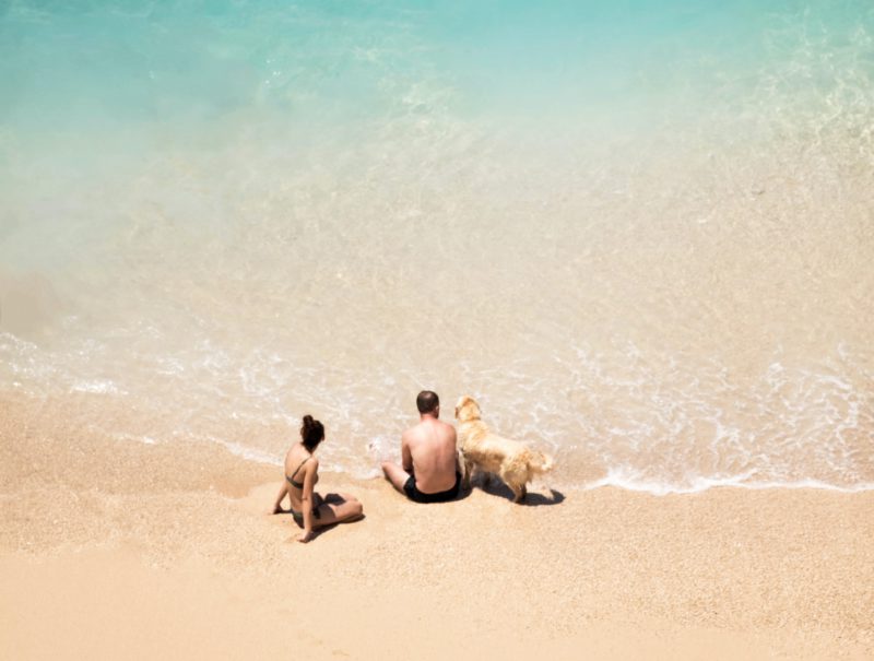 people and dog on beach