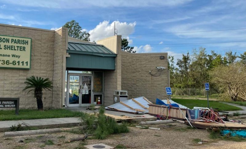 hurricane damage