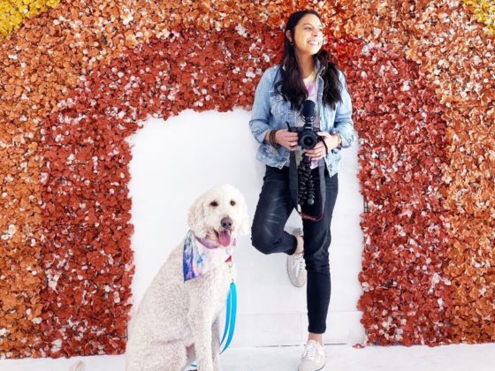 rachel fusaro and dog with rainbow