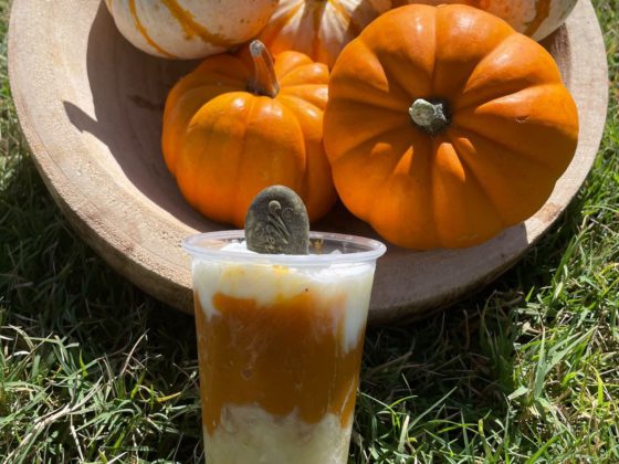 dog treat with pumpkins