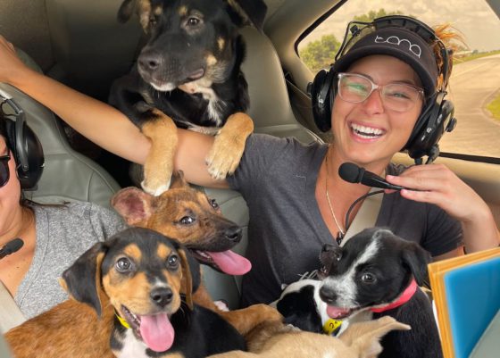 woman with rescue puppies