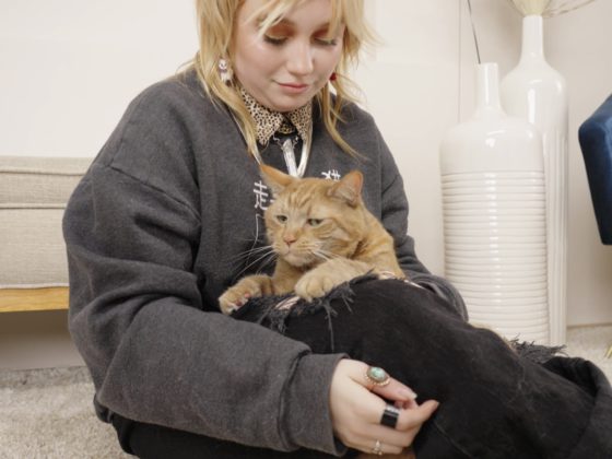 woman and cat