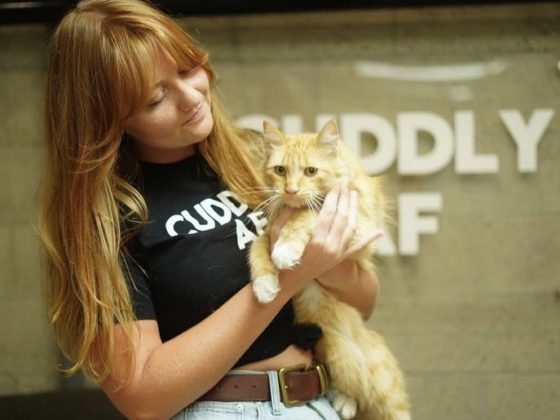 amy peterson and cat