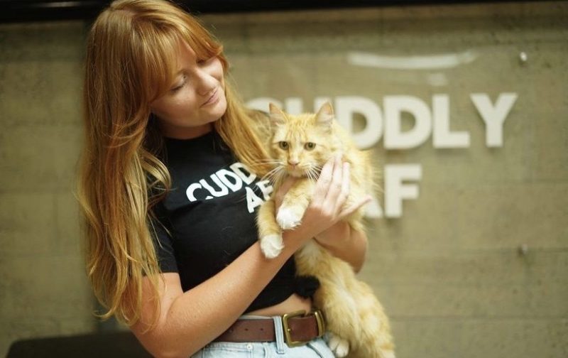 amy peterson and cat