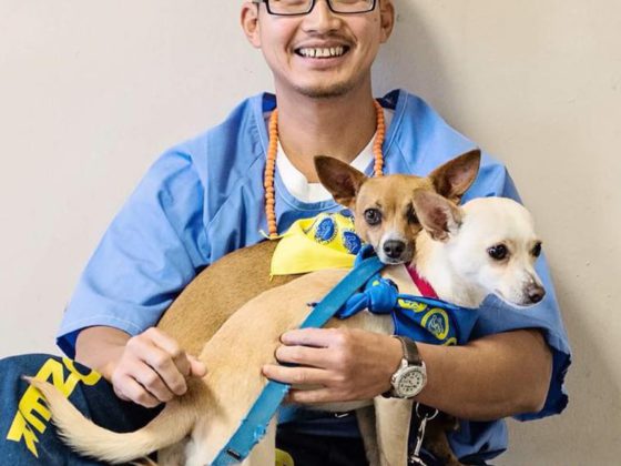 prisoner with dogs