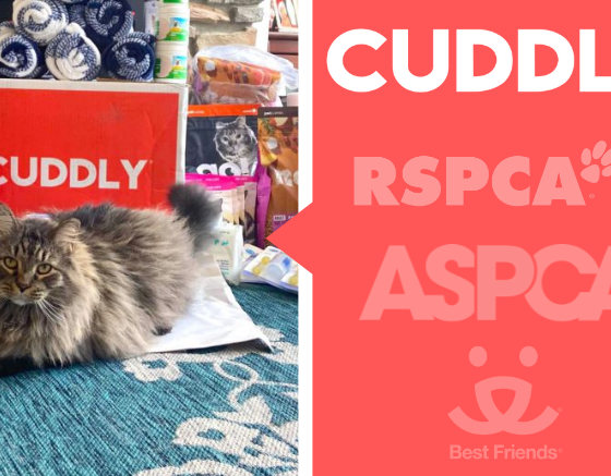 best organizations helping animals