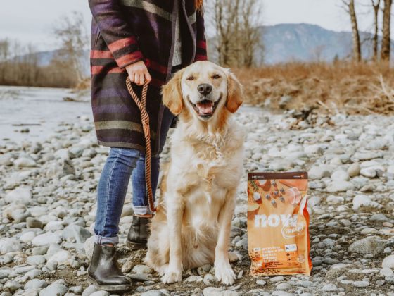 dog and petcurean